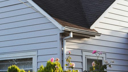 Comment préserver l'esthétique de votre toit ?